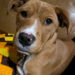 Meet your Posher, Daryl